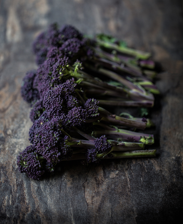 Food photography at Paul Foster's Salt.