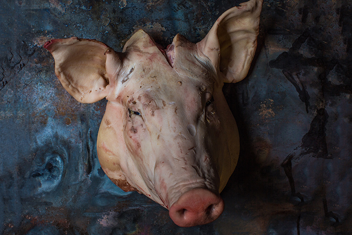 Food photography at Paul Foster's Salt.