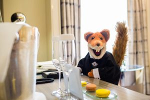 Corporate photography with Basil Brush