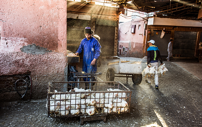 Street Photography in Marrakech