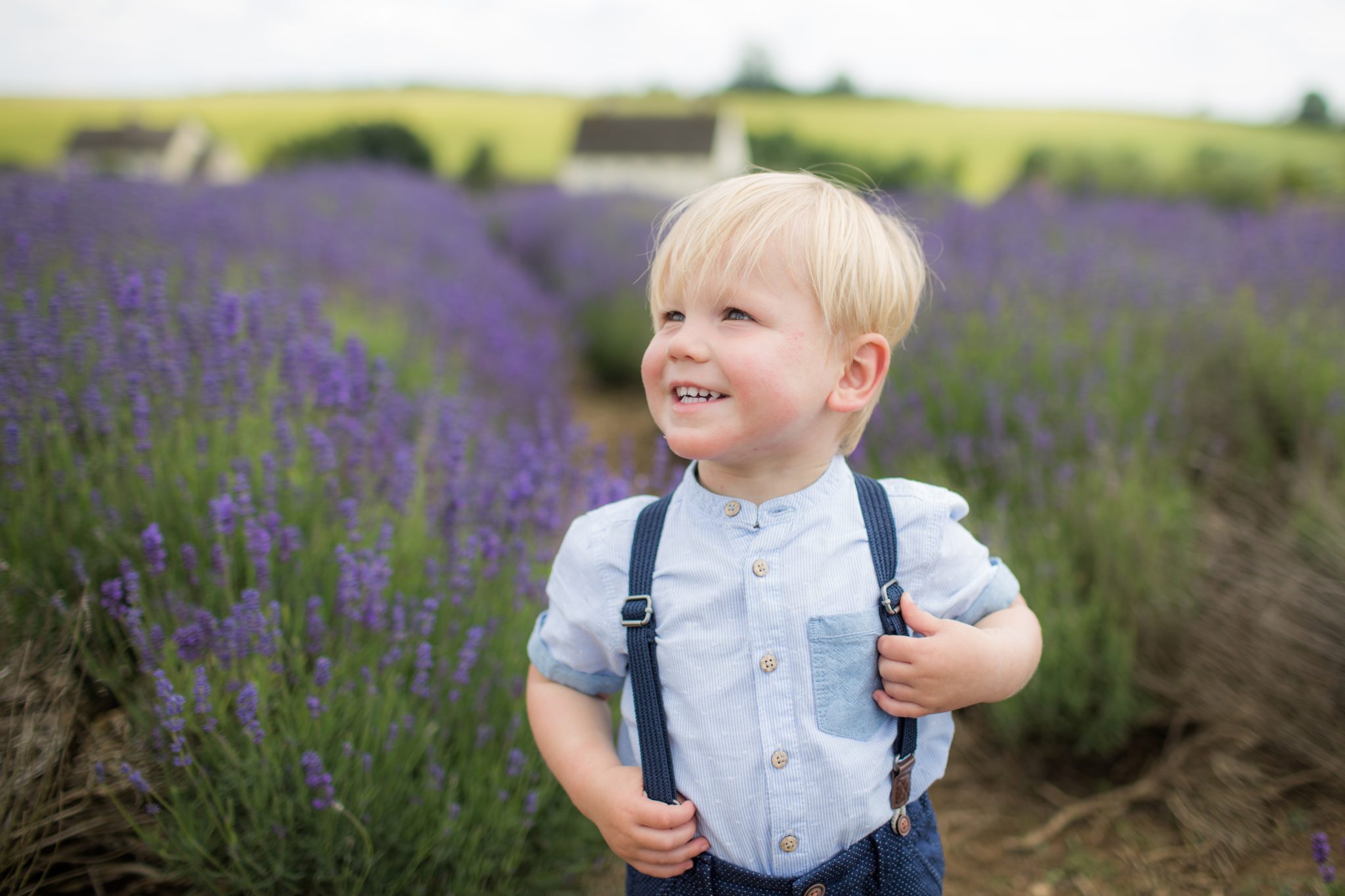 The Lavender Fields Family Shoot day.