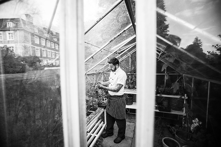 Chef in the Greenhouse.