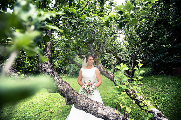 Bride in tree