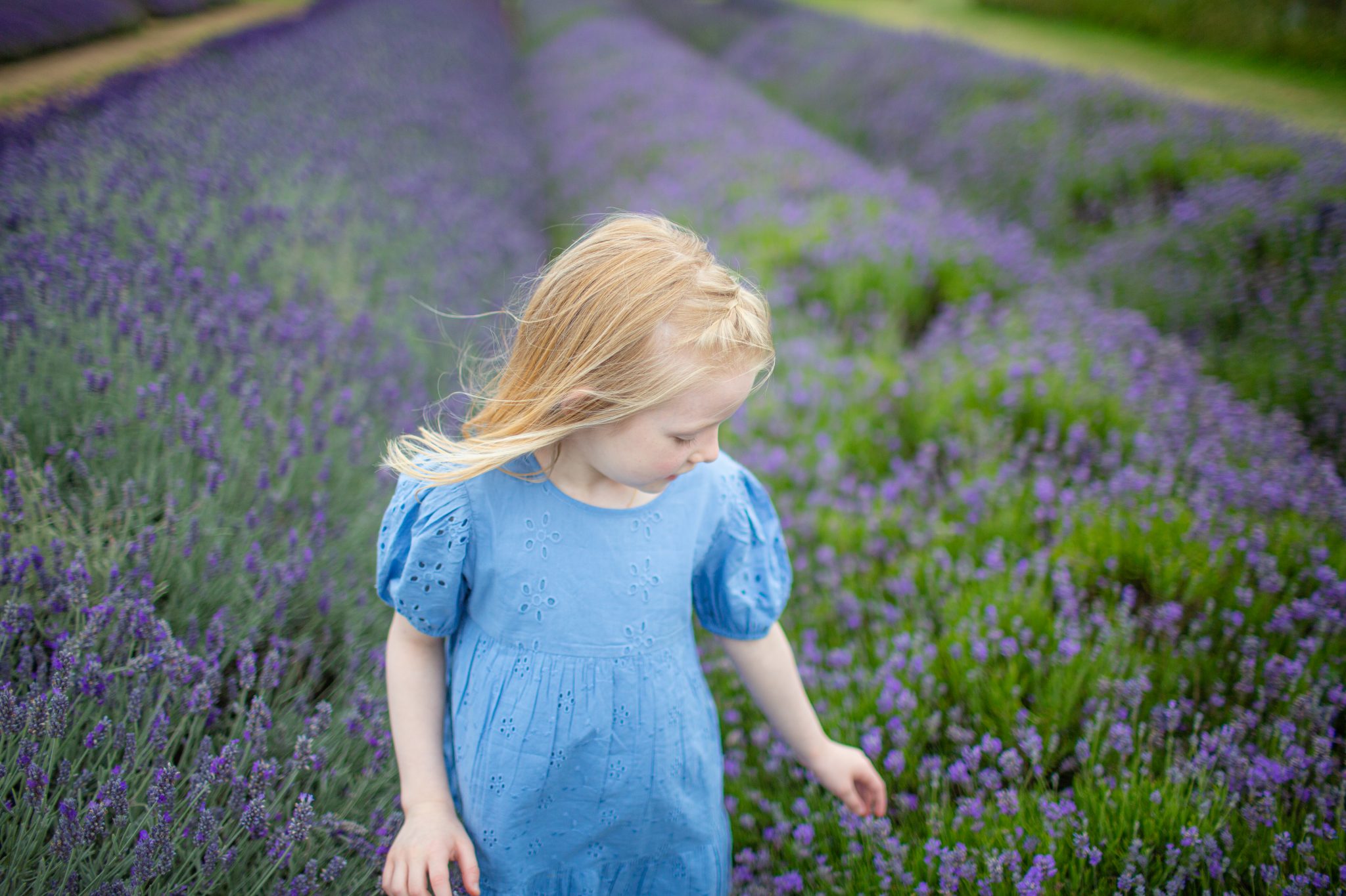 Family Shoot at Lavender Fields.