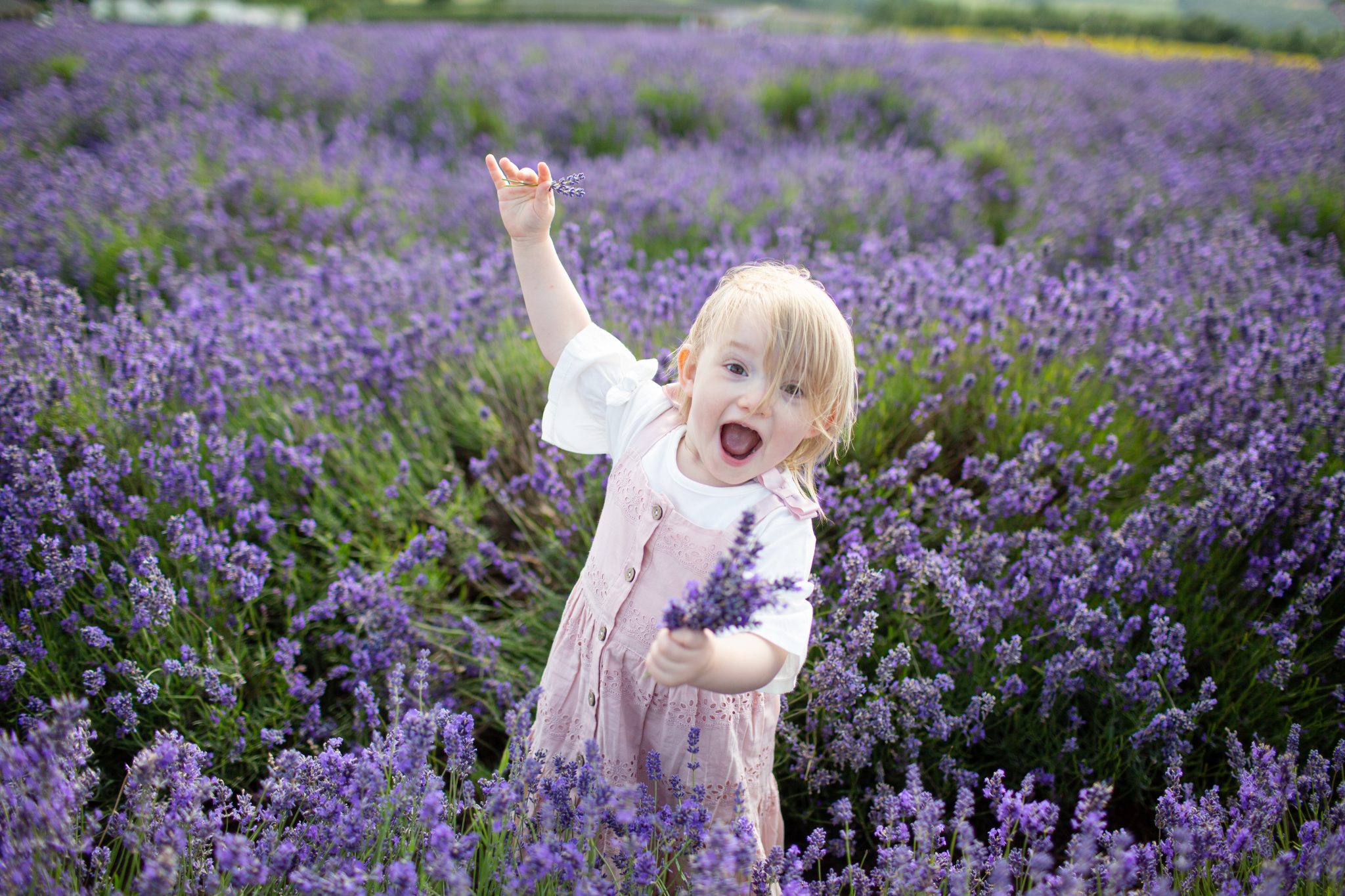 Family Shoot at Lavender Fields.