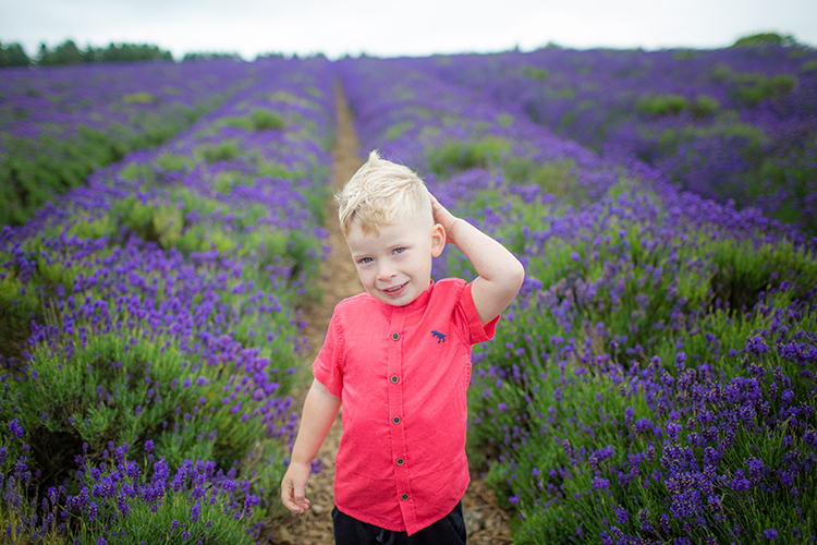 Lavender Fields Family Photoshoot